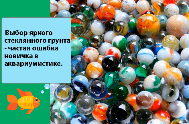 Какой грунт лучше для аквариума: какой выбрать (лучшие производители), виды по размеру (крупный, мелкий), для живых растений