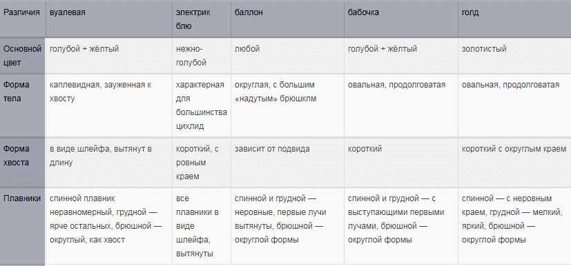 Апистограмма рамирези (хромис бабочка): содержание аквариумной рыбки, разведение, виды цихлиды (вуалевая, золотая, голд), совместимость, мальки, фото, уход, болезни, продолжительность жизни, параметры воды, грунт, освещение, растения, аквариум, кормление, половые признаки, нерест, образование пар, цена, отзывы, размножение, обустройство обитания, сравнительная таблица видов