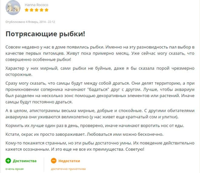 Апистограмма рамирези (хромис бабочка): содержание аквариумной рыбки, разведение, виды цихлиды (вуалевая, золотая, голд), совместимость, мальки, фото, уход, болезни, продолжительность жизни, параметры воды, грунт, освещение, растения, аквариум, кормление, половые признаки, нерест, образование пар, цена, отзывы, размножение, обустройство обитания, сравнительная таблица видов