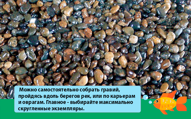 Какой грунт лучше для аквариума: какой выбрать (лучшие производители), виды по размеру (крупный, мелкий), для живых растений