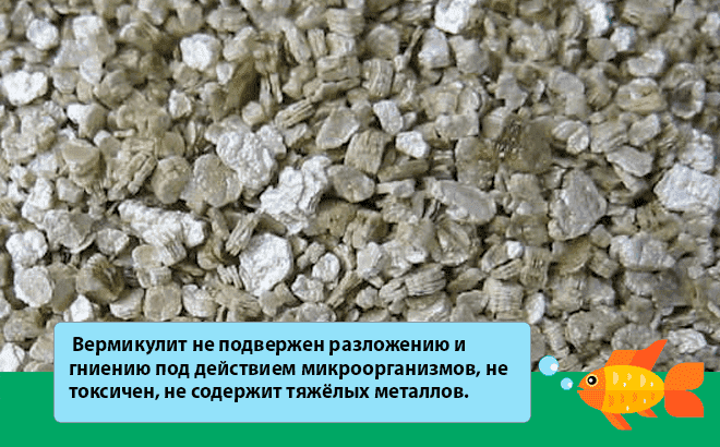 Какой грунт лучше для аквариума: какой выбрать (лучшие производители), виды по размеру (крупный, мелкий), для живых растений