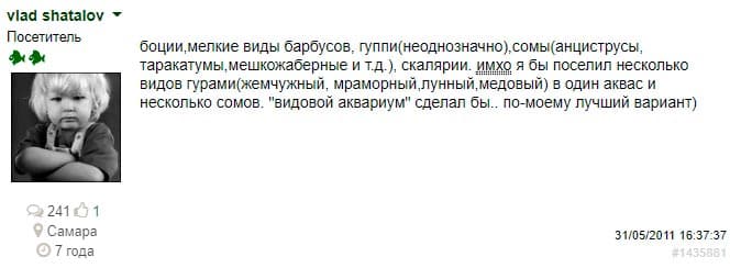 Гурами совместимость с другими рыбами в аквариуме (таблица с кем можно содержать и с кем живут, уживаются): гуппи, барбусы, петушок, неоны, сомик, меченосец, аквариумные золотые рыбки, скалярия, креветки, цихлиды, моллинезии, макроподы, лялиусы, тетры, радужницы, пецилии, данио, улитки, крабы, дискусы, астронотусы