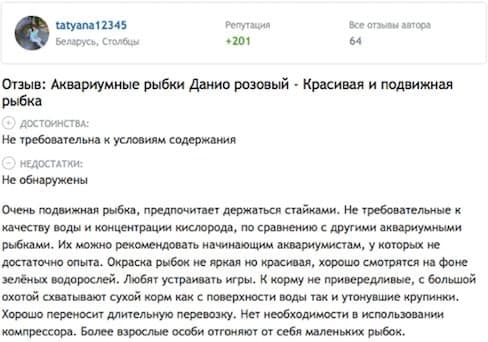 Данио розовый: размножение, содержание и уход аквариумной рыбки в домашних условиях, нерест в общем аквариуме, отличия самки от самца, болезни, фото, описание, цена, отзывы, мальки, кормление, параметры воды