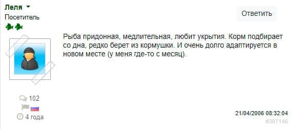 Апистограмма рамирези (хромис бабочка): содержание аквариумной рыбки, разведение, виды цихлиды (вуалевая, золотая, голд), совместимость, мальки, фото, уход, болезни, продолжительность жизни, параметры воды, грунт, освещение, растения, аквариум, кормление, половые признаки, нерест, образование пар, цена, отзывы, размножение, обустройство обитания, сравнительная таблица видов