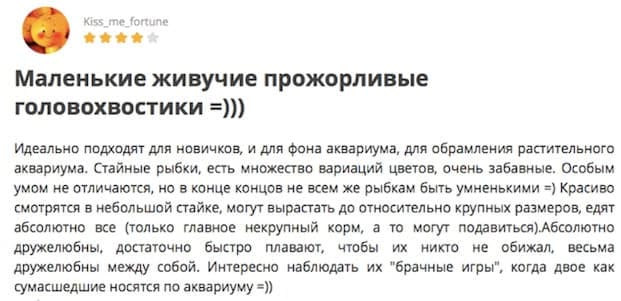 Данио розовый: размножение, содержание и уход аквариумной рыбки в домашних условиях, нерест в общем аквариуме, отличия самки от самца, болезни, фото, описание, цена, отзывы, мальки, кормление, параметры воды